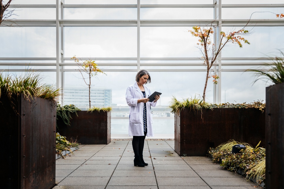 Ways to Overcome the Gap Between IT and Physicians